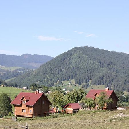 Vila Polonyna Verchovyna Exteriér fotografie