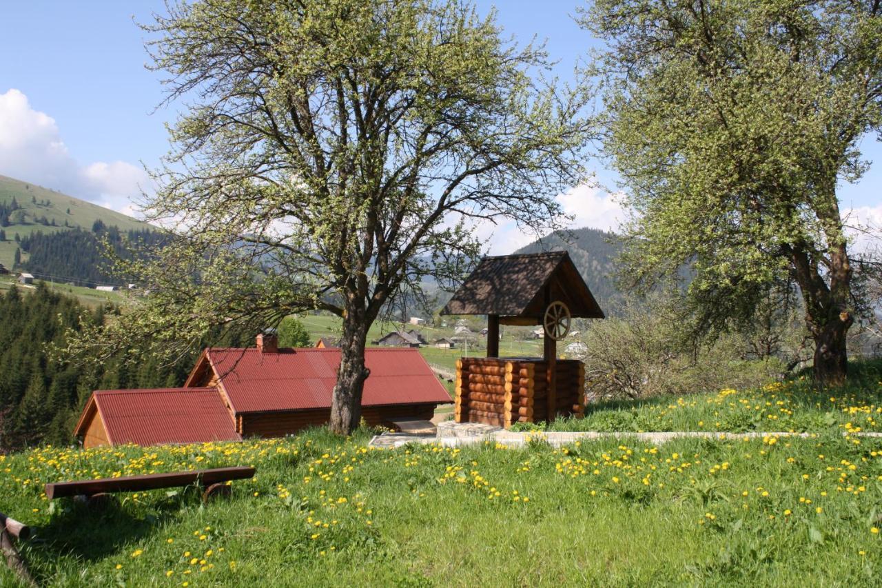 Vila Polonyna Verchovyna Exteriér fotografie