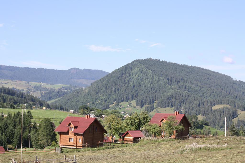 Vila Polonyna Verchovyna Exteriér fotografie