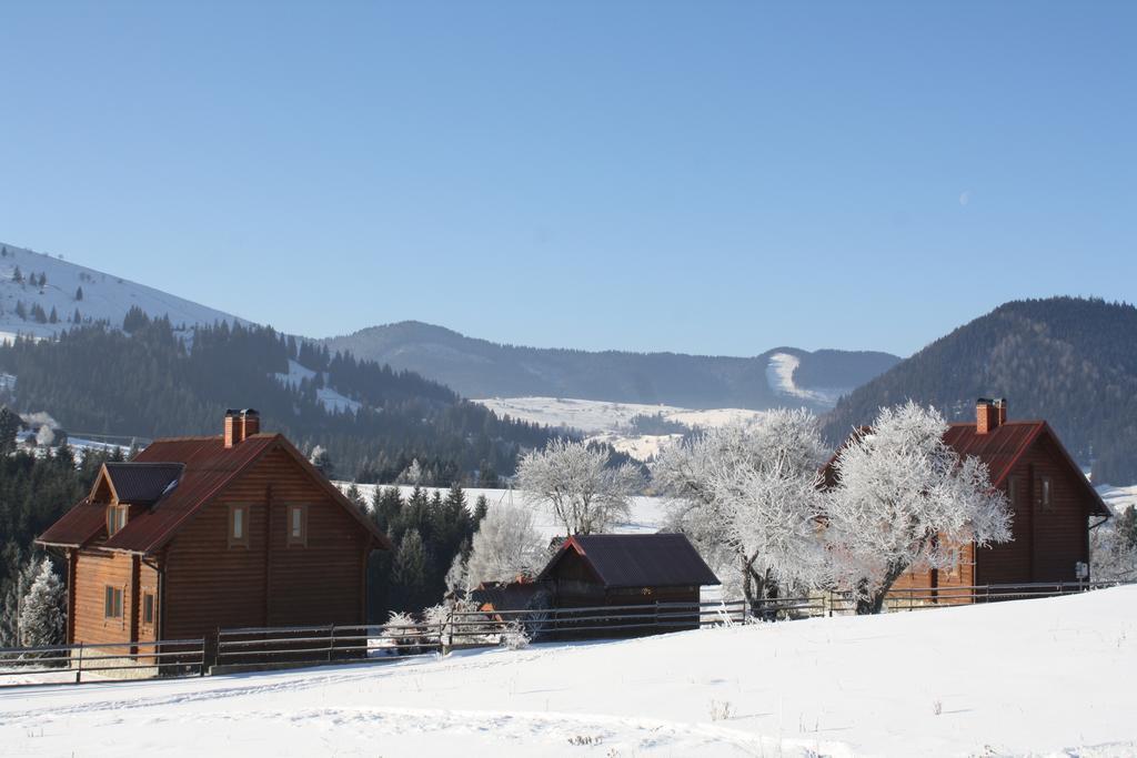 Vila Polonyna Verchovyna Exteriér fotografie