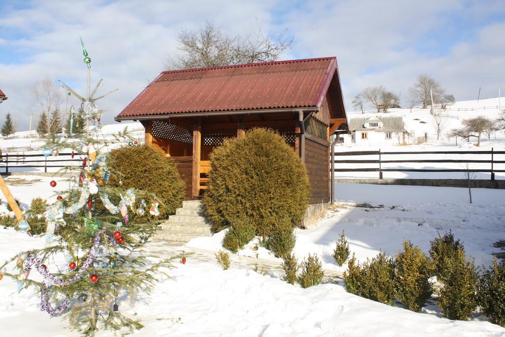 Vila Polonyna Verchovyna Exteriér fotografie