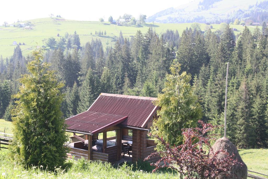 Vila Polonyna Verchovyna Exteriér fotografie