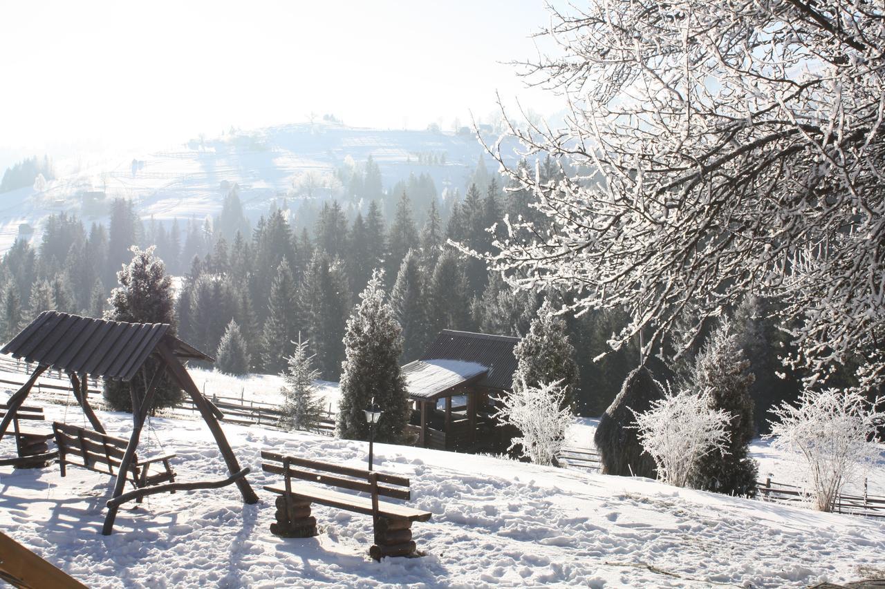 Vila Polonyna Verchovyna Exteriér fotografie
