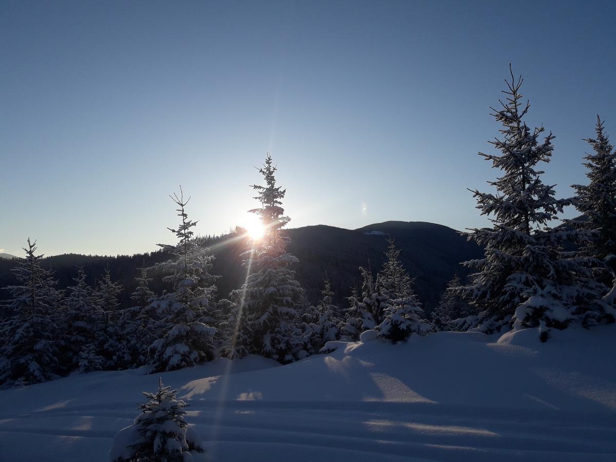 Vila Polonyna Verchovyna Exteriér fotografie