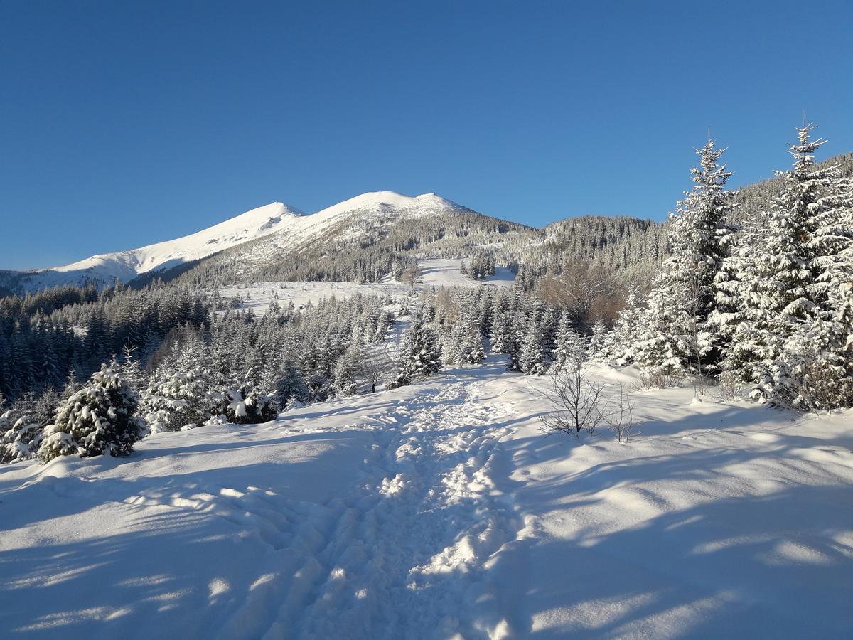 Vila Polonyna Verchovyna Exteriér fotografie