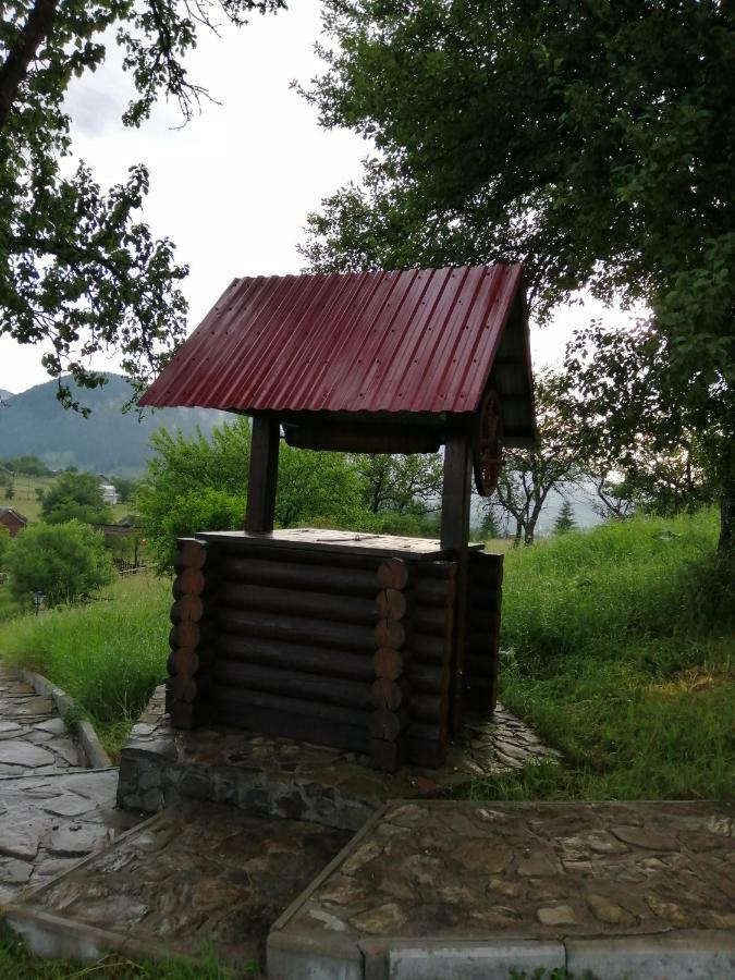 Vila Polonyna Verchovyna Exteriér fotografie