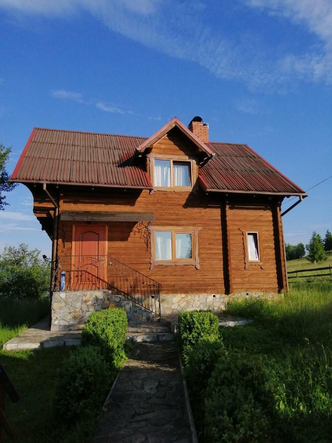 Vila Polonyna Verchovyna Exteriér fotografie